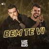 About Bem Te Vi Song