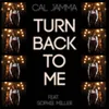 About Turn Back To Me Song