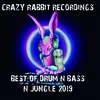 Puff It Pass It-DJ Purple Rabbit Vs Cynical Hussl Remix