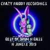 Hardcore Style-DJ Purple Rabbit Remix