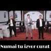 About Numai Tu Izvor Curat Song