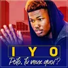 About Poto, Tu Veux Quoi? Song