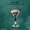 About Never Drinking Again Song