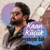 About Yanıyor Bak Song