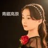 About 青藏高原 Song