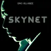 About Skynet Song