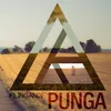 Punga-Radio Edit