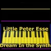 Dream in the Synth