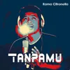 About Tanpamu Song