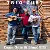 About Znam gdje si sinoć bila Song