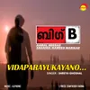 About Vidaparayukayano-Big B Song
