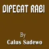 About Dipegat Rabi Song
