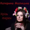 About Крізь терен Song