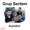 About Zeynebim Song