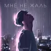 About Мне не жаль Song