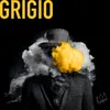 About Grigio Song