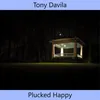About Plucked Happy Song