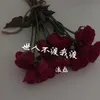 About 世人不渡我来渡 Song