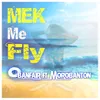 About Mek Me Fly Song