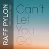 About Can't Let You Go-Version Française Song
