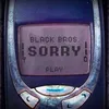 About Sorry Song