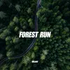 About Forest Run Song