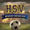 About HSV - wo du bist sind auch wir Song