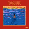 About Romeo Song