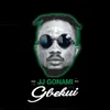 About Gbekui Song