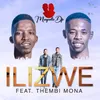 About Ilizwe Song