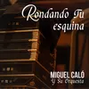 About Caballo de Calesita Song