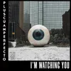 I'm Watching You