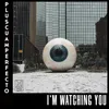 I'm Watching You-Radio Mix
