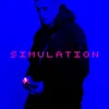 About Simulation Song