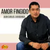 Amor Fingido