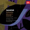 Sinfonietta, JW 6/18: II. Andante