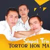 About Tortor Hon Ma Song