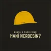 About Hani Nerdesin? Song