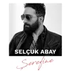 About Şerefine Song