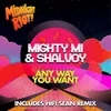 Any Way You Wanna-Hifi Sean Remix