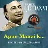 About Apne Maazi K... Song