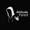 Attitude