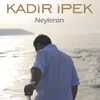 About Neylersin Song