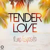 About Tender Love-extended Song