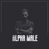 About Alpha Male Song