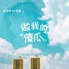 About 做我的傻瓜 Song