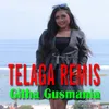 Telaga Remis