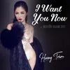 About I Want You Now Song