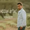 About Naxwazîm Song