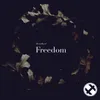 About Freedom Song